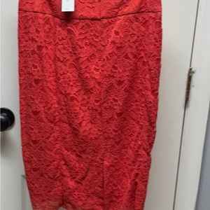 Express Brand New Skirt